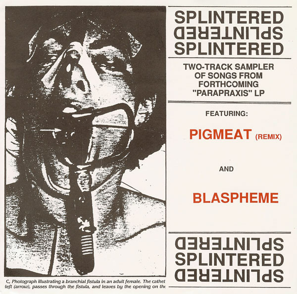 Splintered - Pigmeat (Remix) - Used Vinyl Record 7" image 1