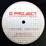 Q Project - Faith In Chaos / Sex In The City - Vinyl Record 12" image 1