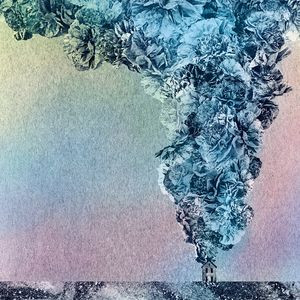 Daughn Gibson - Carnation - CD image 1