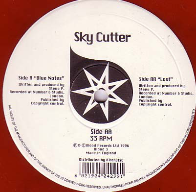 Skycutter - Blue Notes / Lost - Used Vinyl Record 10" image 1