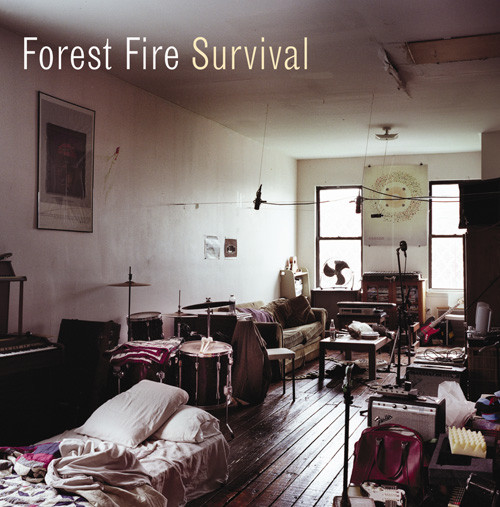 Forest Fire - Survival - Used CD image 1