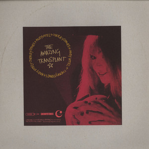 Andy Votel - Amazing Transplant - Vinyl Record 12" image 1