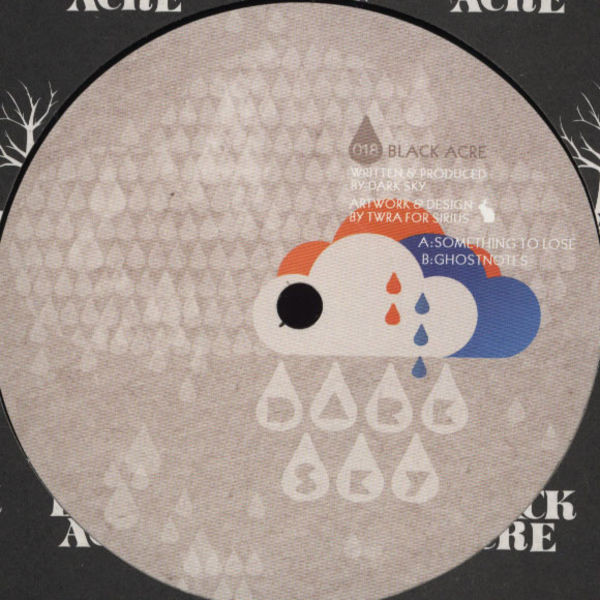 Dark Sky - Something To Lose - Vinyl Record 12" image 1
