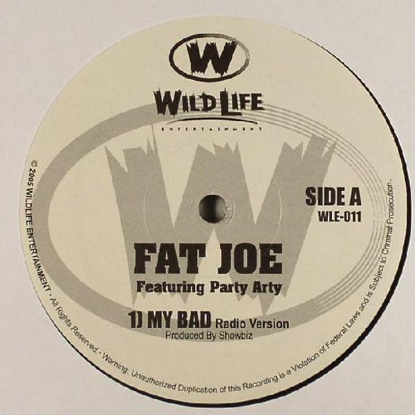 Fat Joe - My Bad - Vinyl Record 12" image 1