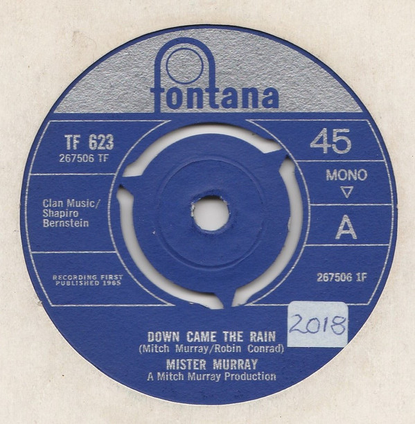 Mister Murray - Down Came The Rain - Used Vinyl Record 7" image 1