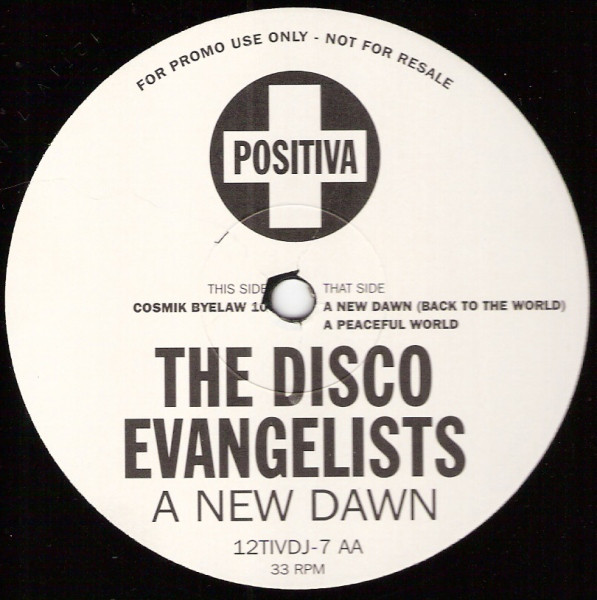 Disco Evangelists - A New Dawn (Back To The World) - Used Vin image 1
