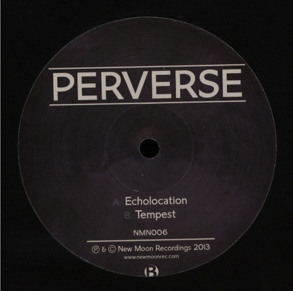 Perverse - Echolocation / Tempest - Vinyl Record 12" image 1