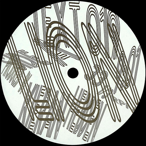 Four Tet - Lion / Peace For Earth - Vinyl Record 12" image 1
