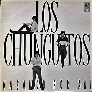 Los Chunguitos - Vagando Por Ahi - Used Vinyl Record image 1