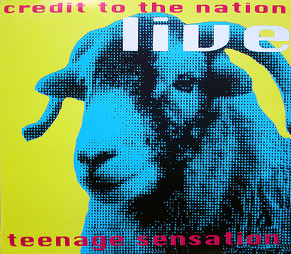 Credit To The Nation - Teenage Sensation (Live) - Used CD image 1