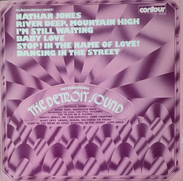 Detroit Sound - Introducing - Used Vinyl Record image 1