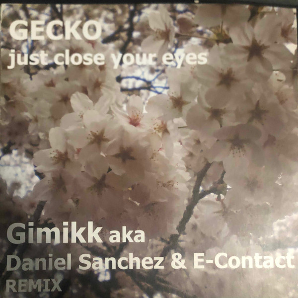 Gecko - Just Close Your Eyes 2.8 - Vinyl Record 12" image 1