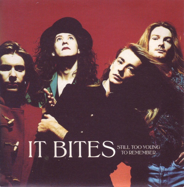 It Bites - Still Too Young To Remember - Used Vinyl Record 7" image 1