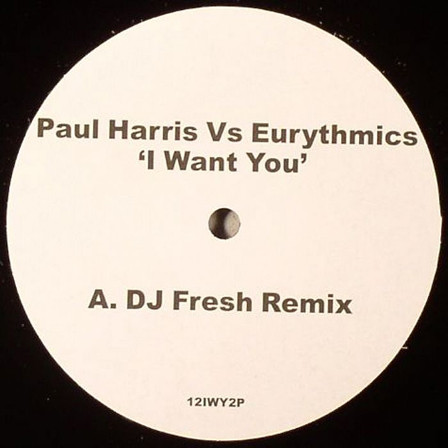 Paul Harris - I Want You - Vinyl Record 12" image 1
