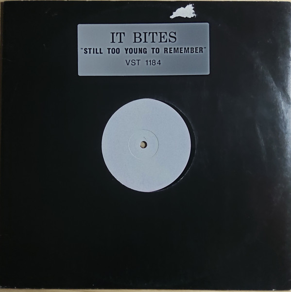 It Bites - Still Too Young To Remember - Used Vinyl Record 12 image 1