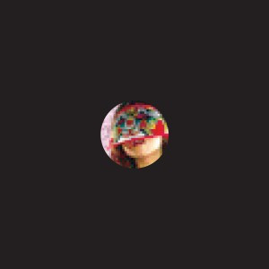 Guillamino - Left In The Wild - Vinyl Record 12" image 1
