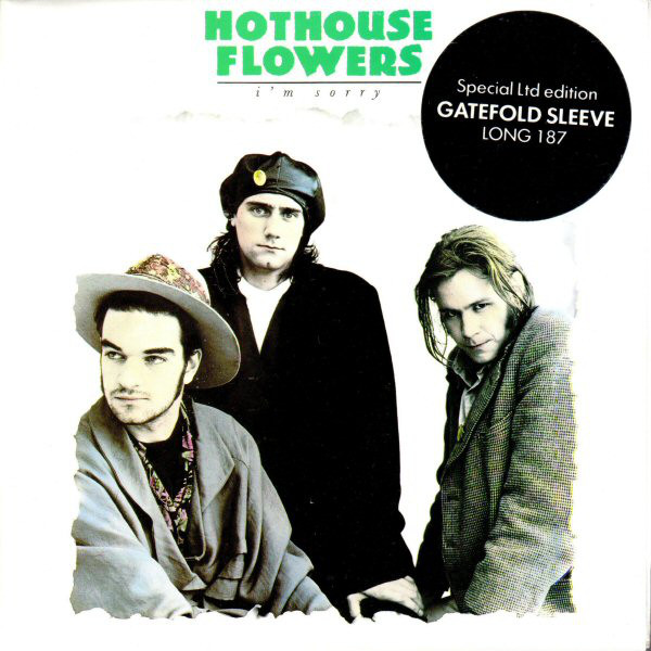 Hothouse Flowers - I'm Sorry - Used Vinyl Record 7" image 1