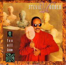 Stevie Wonder - You Will Know - Used Vinyl Record 7" image 1
