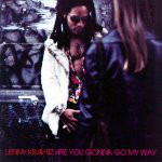 Lenny Kravitz - Are You Gonna Go My Way - Used CD image 1