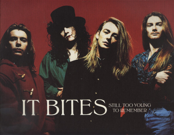 It Bites - Still Too Young To Remember - Used Vinyl Record 12" image 1