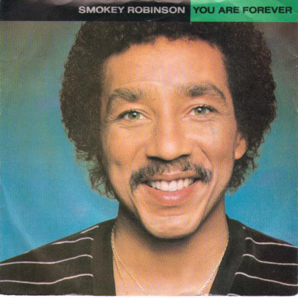 Smokey Robinson - You Are Forever - Used Vinyl Record 7" image 1