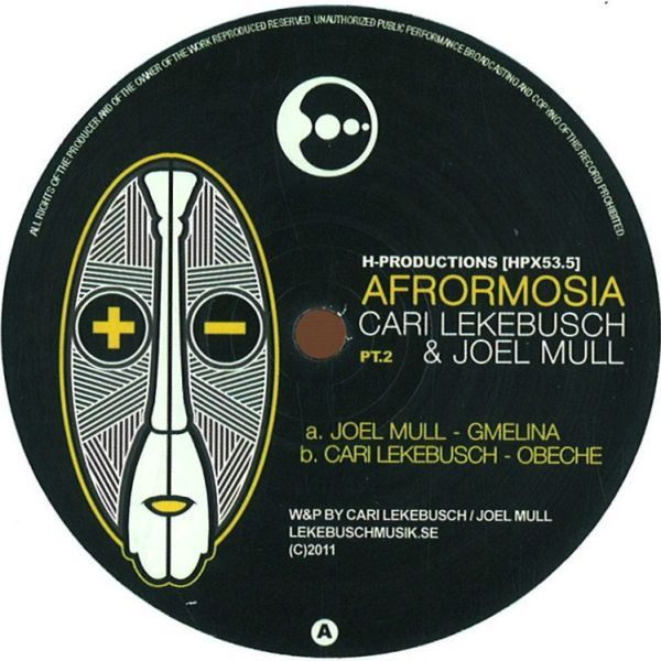 Cari Lekebusch - Afrormosia Pt.2 - Vinyl Record 12" image 1