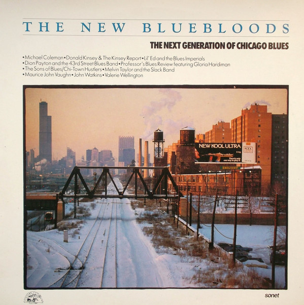 Various - New Bluebloods (The Next Generation Of Chicago Blues) - Use image 1