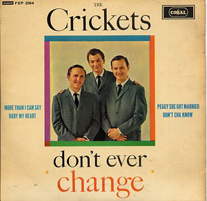 Crickets - Don't Ever Change - Used Vinyl Record 7" image 1