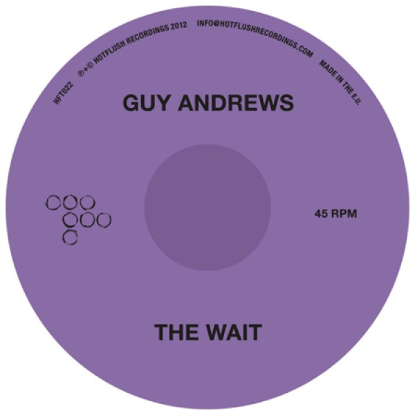Guy Andrews - Wait / Hands In Mine - Vinyl Record 12" image 1