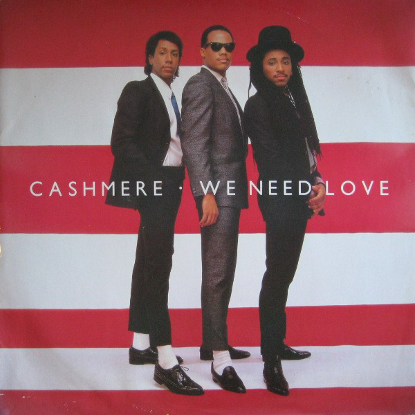 Cashmere - We Need Love - Used Vinyl Record 12" image 1
