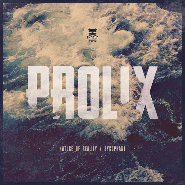 Prolix - Nature Of Reality / Sycophant - Used Vinyl Record 12" image 1