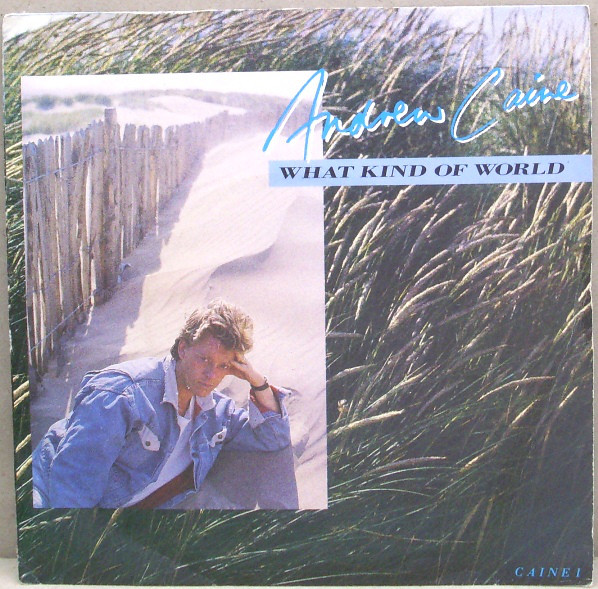 Andy Caine - What Kind Of World - Used Vinyl Record 7" image 1