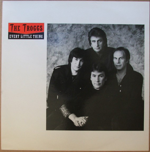 Troggs - Every Little Thing (Extended Mix) - Used Vinyl Record 12" image 1
