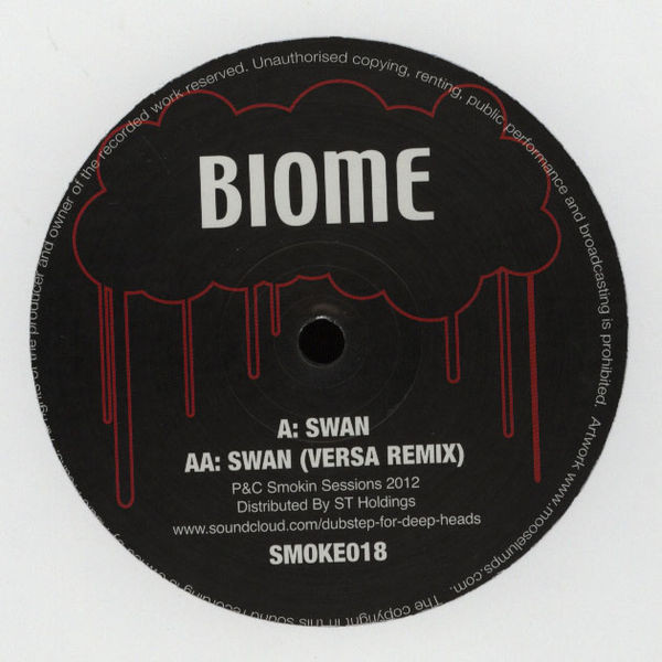 Biome - Swan - Vinyl Record 12" image 1