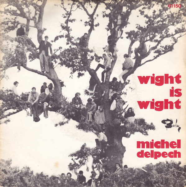 Michel Delpech - Wight Is Wight - Used Vinyl Record 7" image 1