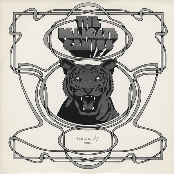 Delicate Genius - Vinyl Record 12" image 1