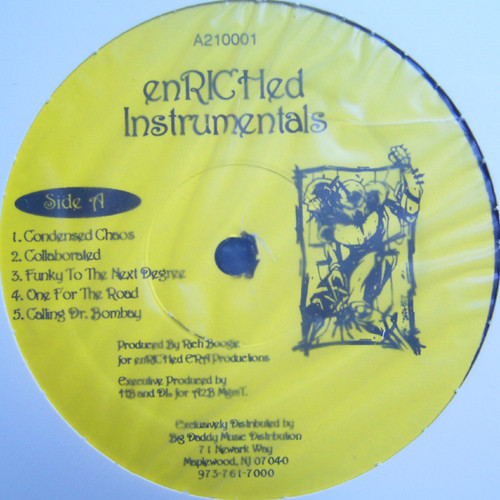 Rich Boogie - Enriched Instrumentals - Vinyl Record image 1