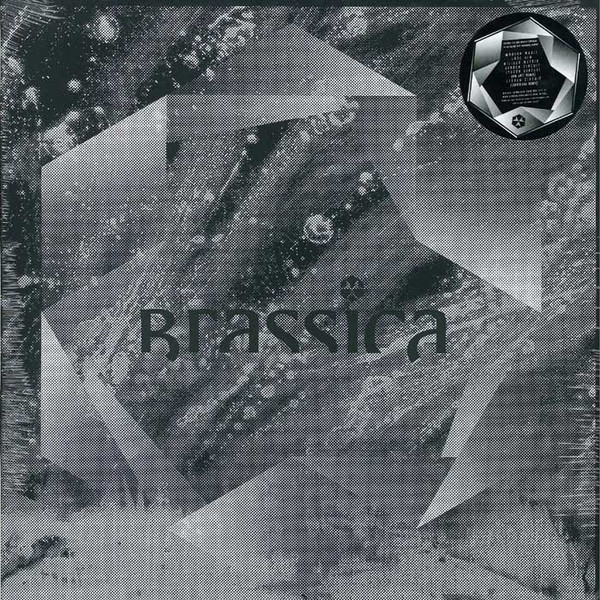 Brassica - Temple Fortune EP - Vinyl Record 12" image 1
