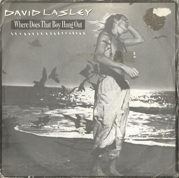 David Lasley - Where Does That Boy Hang Out - Used Vinyl Record 7" image 1