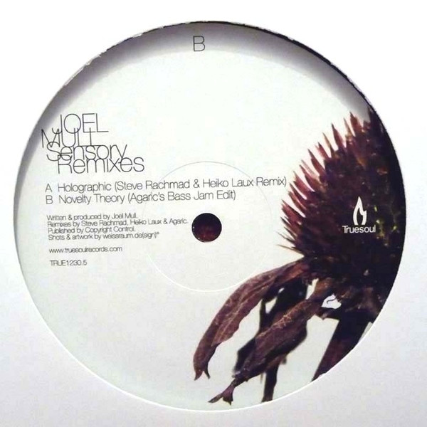 Joel Mull - Sensory Remixes - Vinyl Record 12" image 1