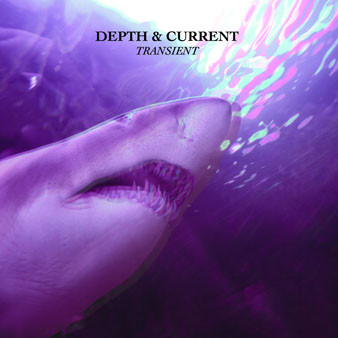 Depth & Current - Transient - Used Vinyl Record 7" image 1