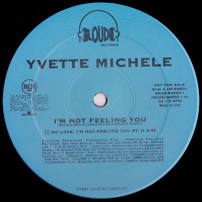 Yvette Michele - I'm Not Feeling You - Used Vinyl Record 12" image 1