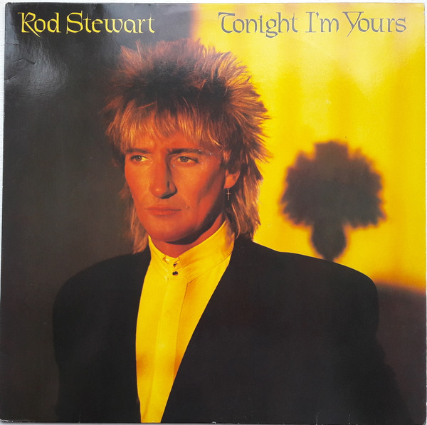 Rod Stewart - Tonight I'm Yours - Used Vinyl Record image 1