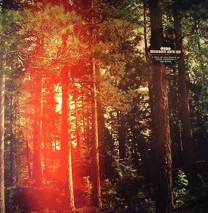 Colo - Midday Sun EP - Vinyl Record 12" image 1