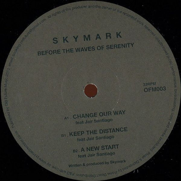 Skymark - Before The Waves Of Serenity - Vinyl Record 12" image 1