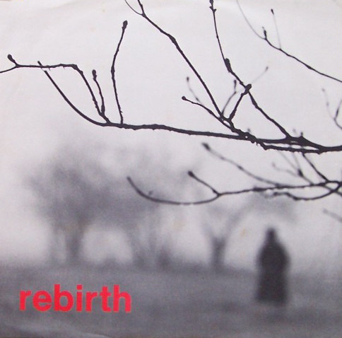 Harbour Light - Rebirth - Used Vinyl Record image 1
