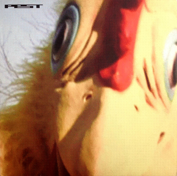 Pest - Chicken Spit - Used Vinyl Record 12" image 1