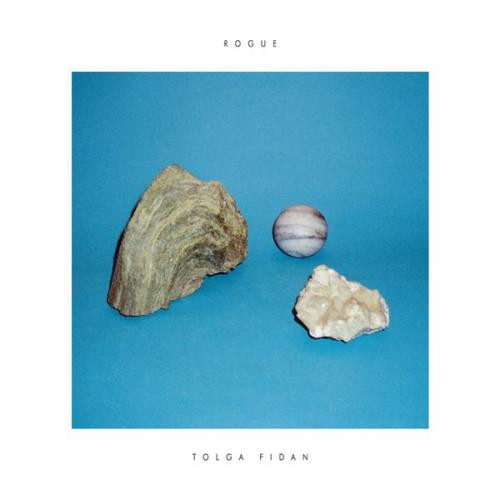 Tolga Fidan - Rogue - CD image 1