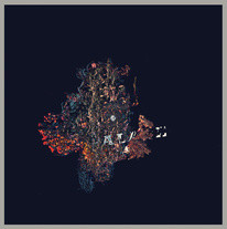 B/B/S/ - Palace - Used Vinyl Record image 1