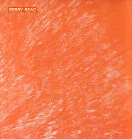 Gerry Read - We Are - Vinyl Record 12" image 1